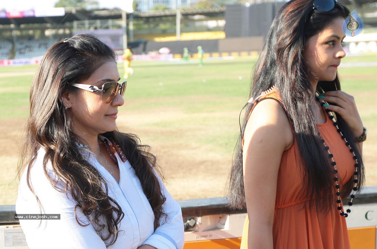 CCL5 Chennai Rhinos Vs Kerala Strikers Match Photos - 86 / 90 photos
