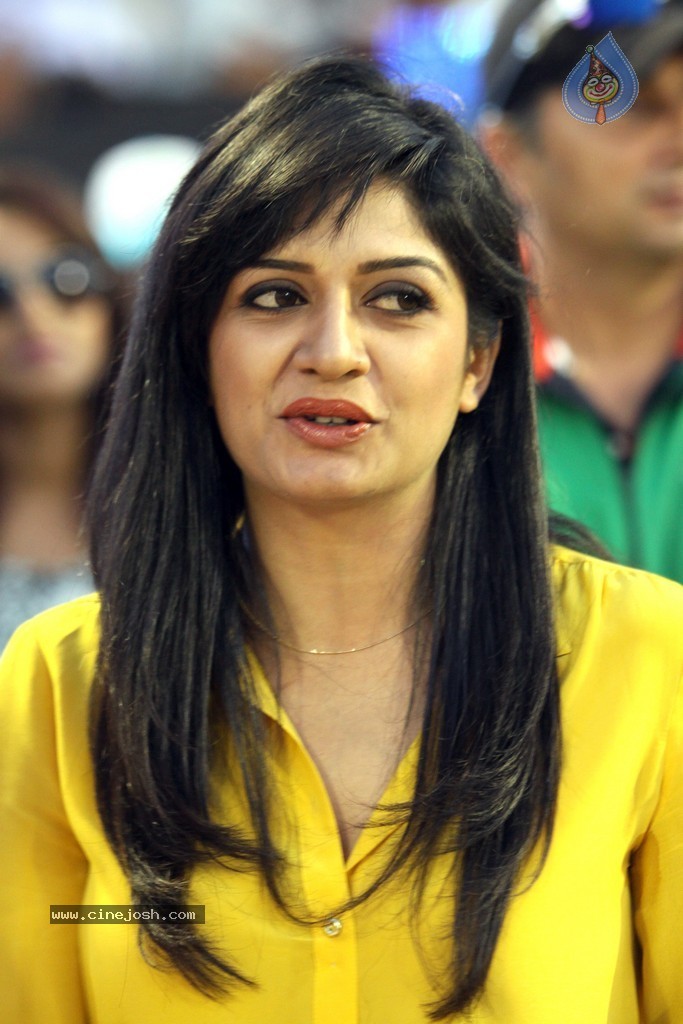 CCL 4 Final Karnataka Bulldozers Vs Kerala Strikers Match  - 42 / 132 photos