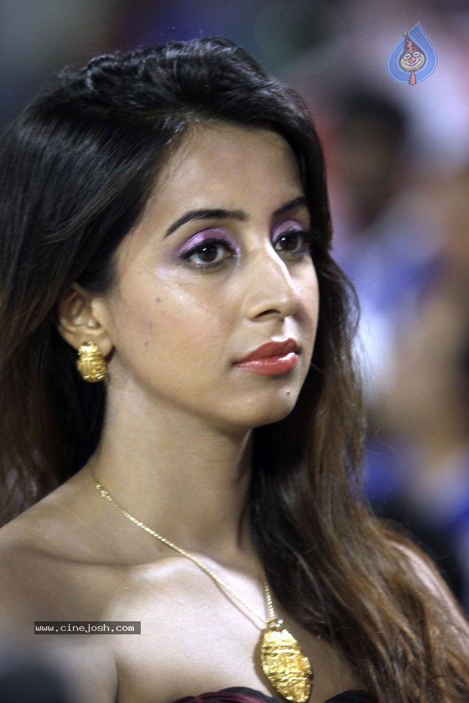 CCL 4 Final Karnataka Bulldozers Vs Kerala Strikers Match  - 59 / 132 photos
