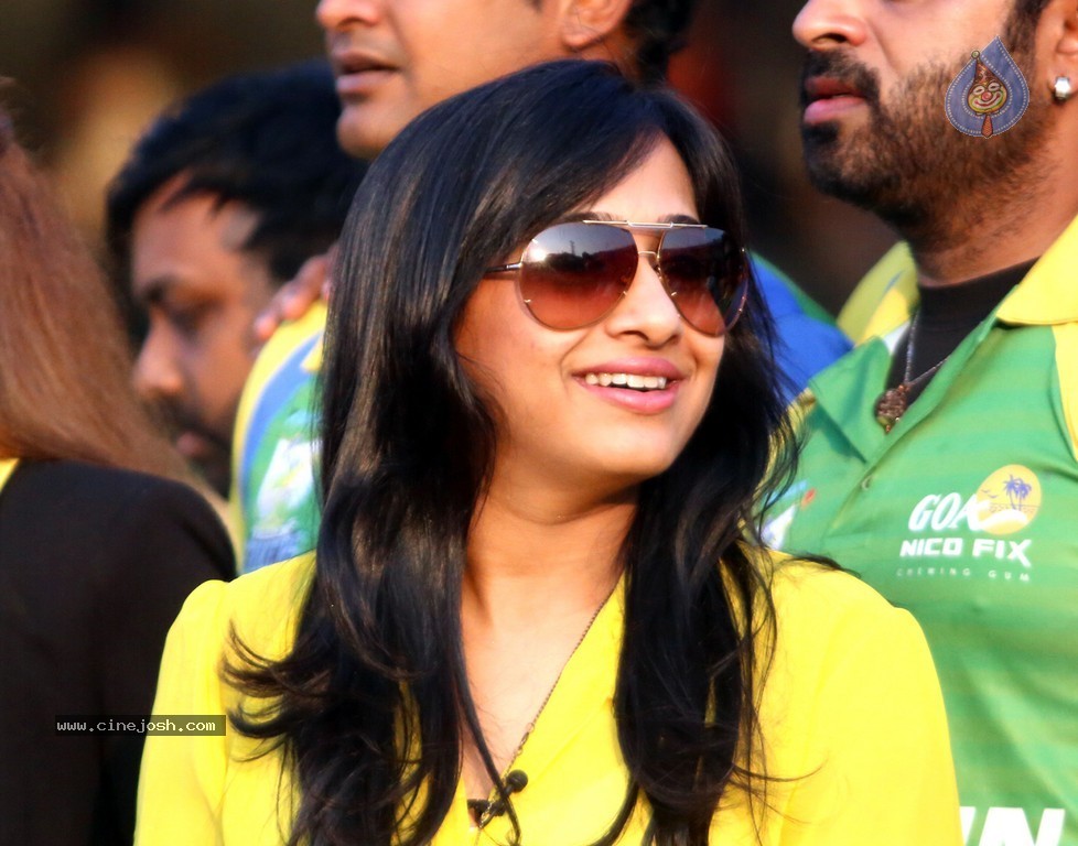 CCL 4 Final Karnataka Bulldozers Vs Kerala Strikers Match  - 120 / 132 photos