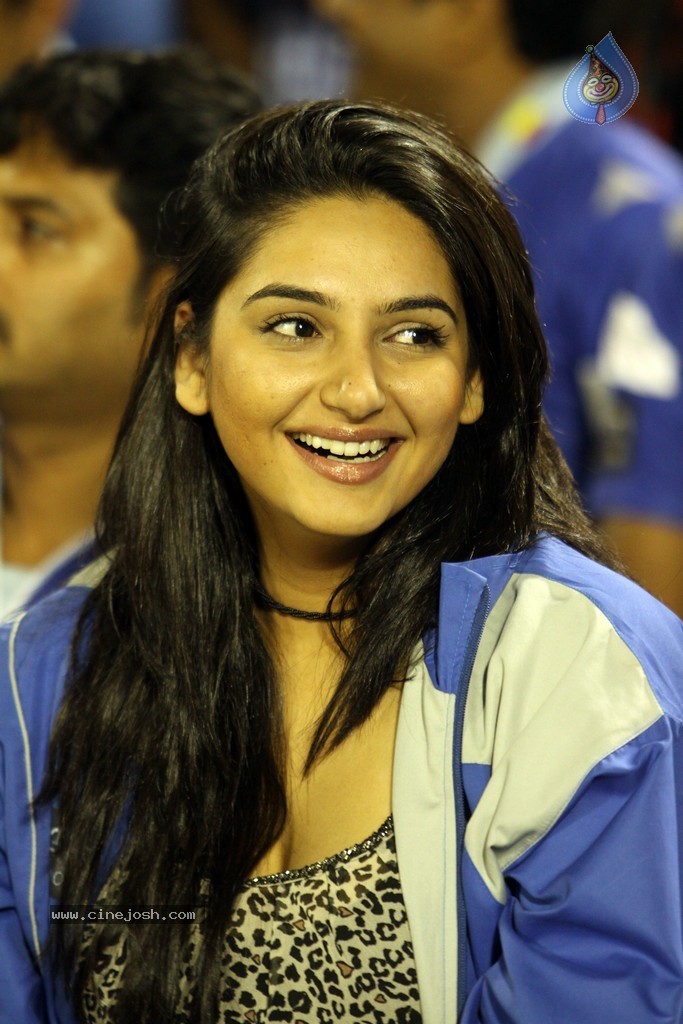 CCL 4 Final Karnataka Bulldozers Vs Kerala Strikers Match Photos - 37 / 62 photos