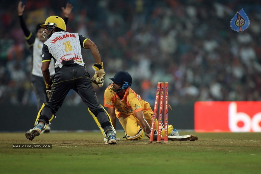 CCL 4 Mumbai Heroes Vs Chennai Rhinos Match - 35 / 97 photos