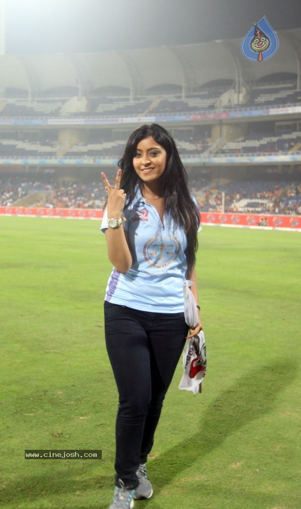 CCL 4 Veer Marathi Vs Bhojpuri Dabanggs Match - 5 / 111 photos