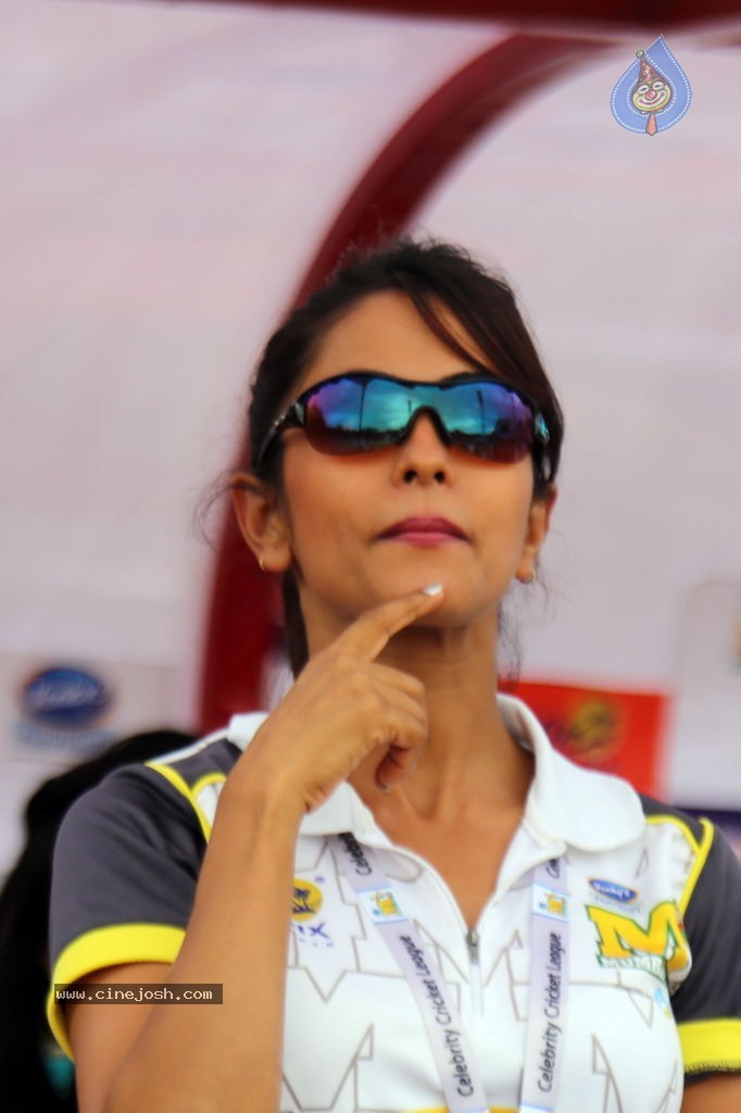 CCL 4 Veer Marathi Vs Mumbai Heroes Match - 75 / 190 photos