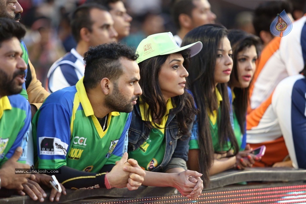 CCL 5 Telugu Warriors vs Karnataka Bulldozers Match Photos - 48 / 178 photos