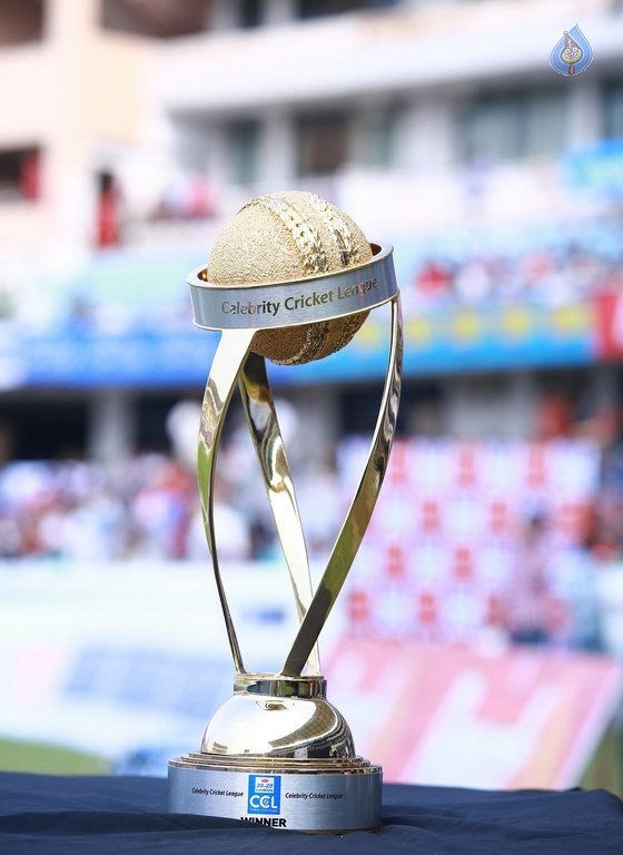 CCL 6 Karnataka Bulldozers Vs Telugu Warriors Final Match Photos - 38 / 122 photos
