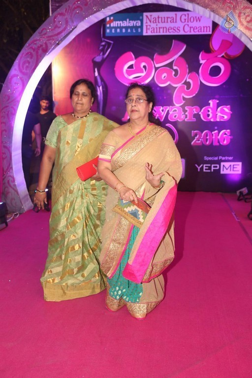 Celebrities at Apsara Awards 2016 - 19 / 105 photos