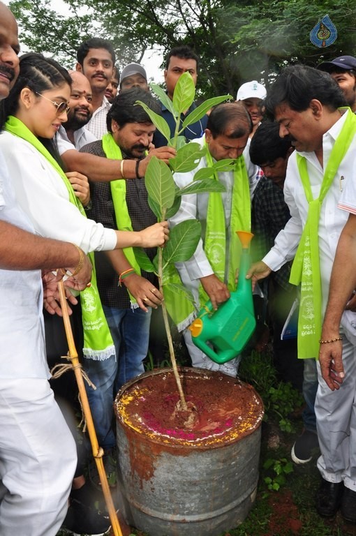 Celebrities at Haritha Haram Event - 1 / 42 photos