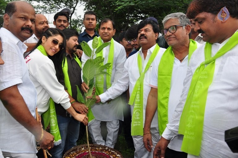 Celebrities at Haritha Haram Event - 7 / 42 photos