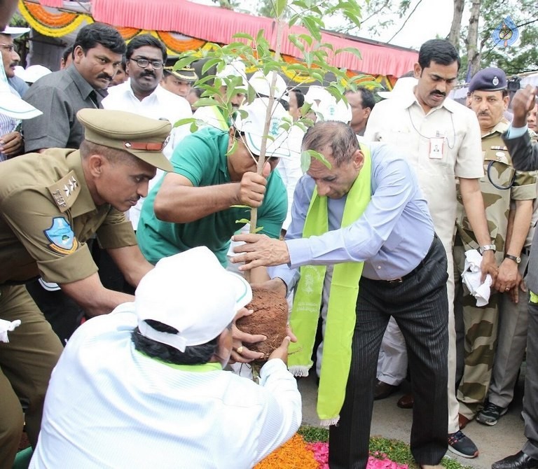 Celebrities at Haritha Haram Event - 17 / 42 photos