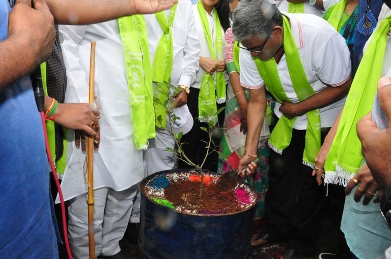 Celebrities at Haritha Haram Event - 21 / 42 photos