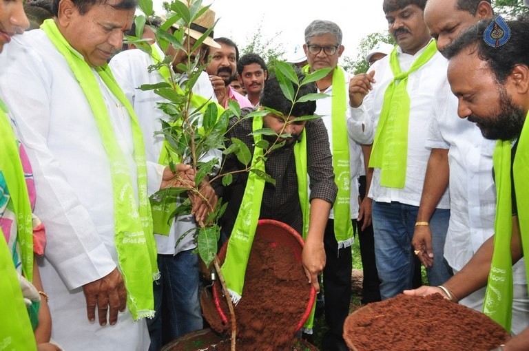 Celebrities at Haritha Haram Event - 26 / 42 photos