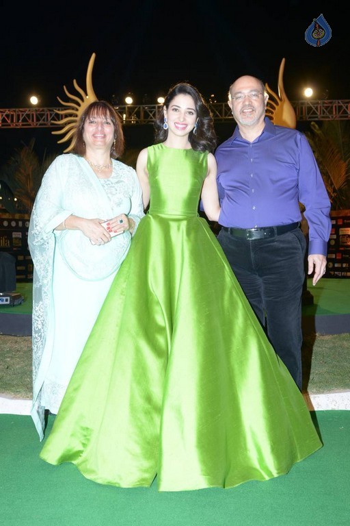 Celebrities at IIFA Utsavam Awards 2016 - 11 / 101 photos