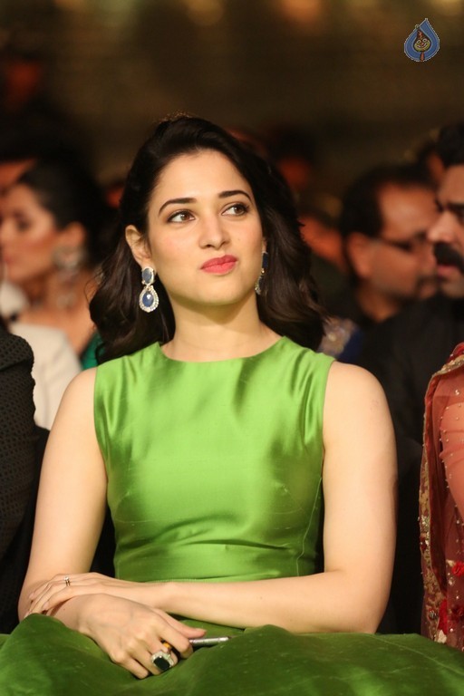 Celebrities at IIFA Utsavam Awards 2016 - 88 / 101 photos
