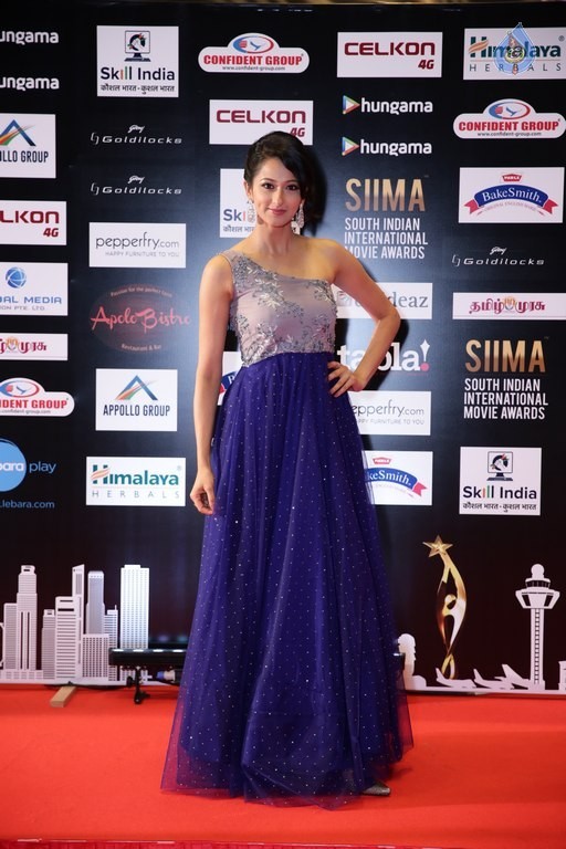Celebrities at SIIMA 2016 Awards Day 1 - 24 / 48 photos