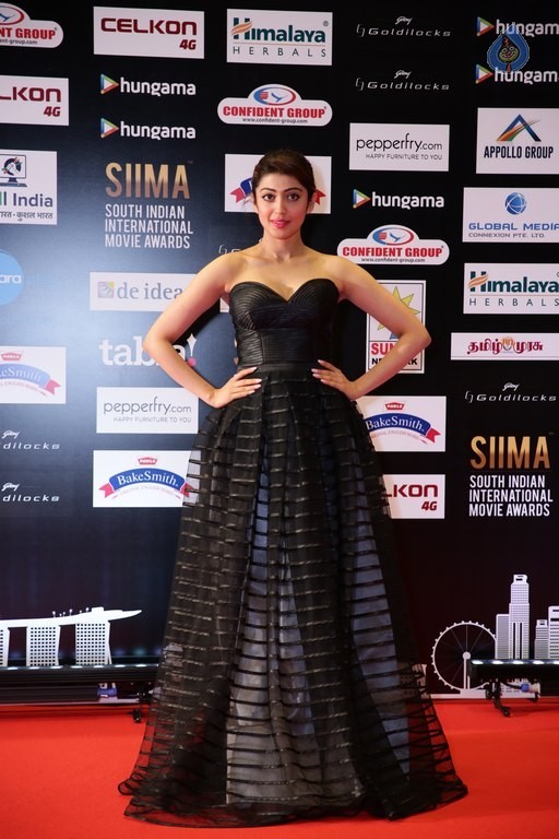 Celebrities at SIIMA 2016 Awards Day 1 - 31 / 48 photos