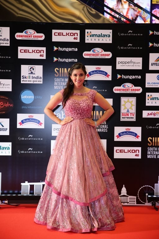 Celebrities at SIIMA 2016 Awards Day 1 - 44 / 48 photos