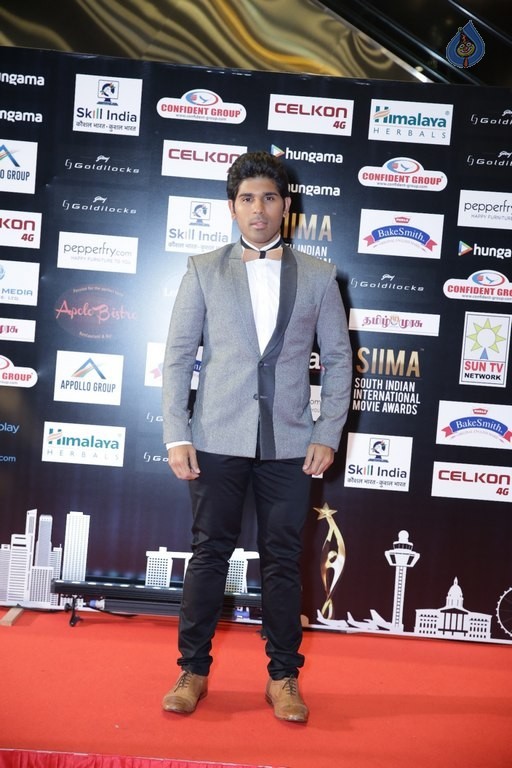 Celebrities at SIIMA 2016 Awards Day 2 - 18 / 32 photos