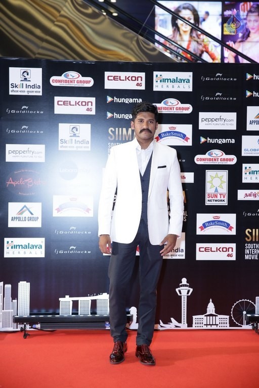 Celebrities at SIIMA 2016 Awards Day 2 - 23 / 32 photos