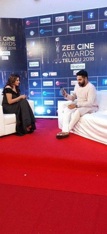 Celebrities at Zee Cine Awards 2018 - 19 / 34 photos