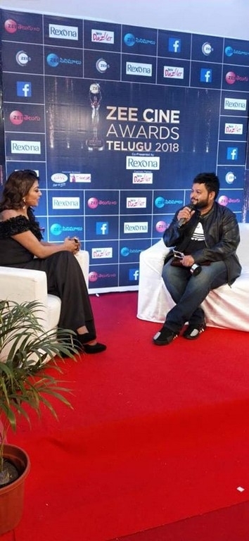 Celebrities at Zee Cine Awards 2018 - 26 / 34 photos