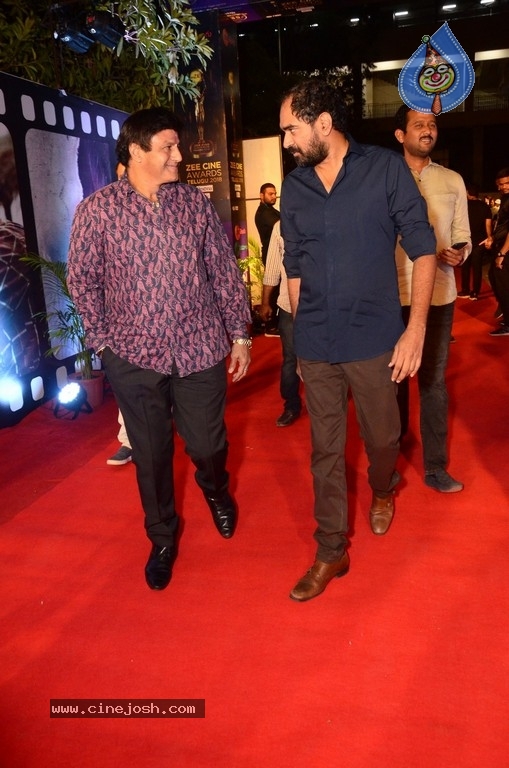 Celebrities at Zee Cine Awards 2018 Photos - 34 / 58 photos
