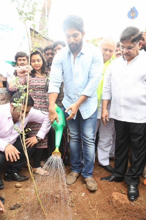 Celebrities Participates in Haritha Haram Program - 16 / 100 photos