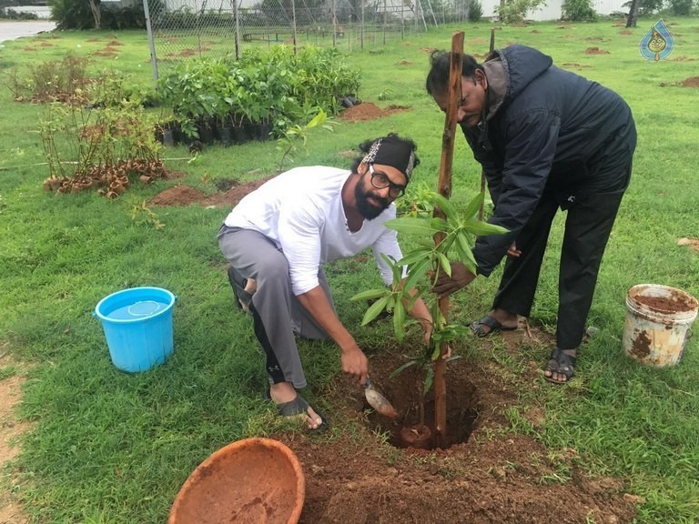Celebrities Participates in Haritha Haram Program - 17 / 100 photos