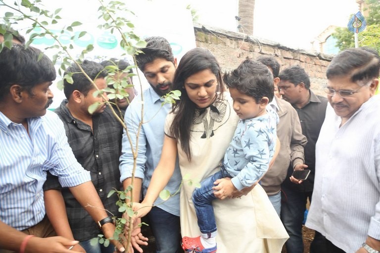 Celebrities Participates in Haritha Haram Program - 27 / 100 photos