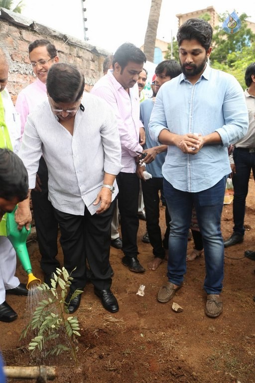 Celebrities Participates in Haritha Haram Program - 30 / 100 photos