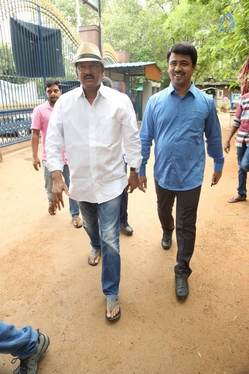 Celebrities Participates in Haritha Haram Program - 32 / 100 photos