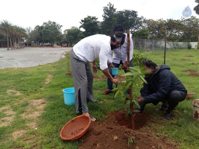 Celebrities Participates in Haritha Haram Program - 44 / 100 photos