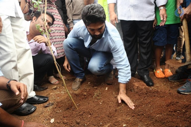 Celebrities Participates in Haritha Haram Program - 45 / 100 photos