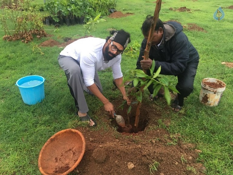 Celebrities Participates in Haritha Haram Program - 49 / 100 photos