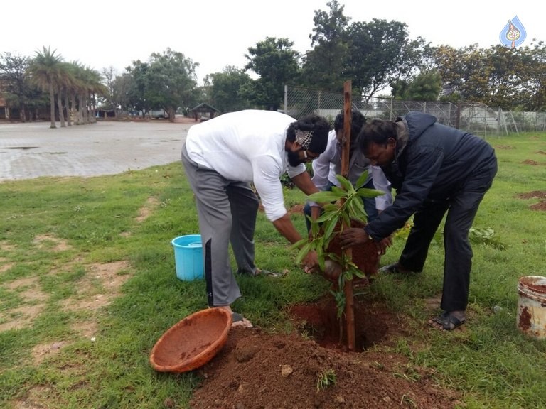 Celebrities Participates in Haritha Haram Program - 54 / 100 photos