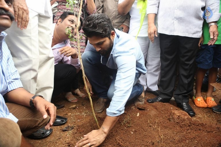 Celebrities Participates in Haritha Haram Program - 62 / 100 photos