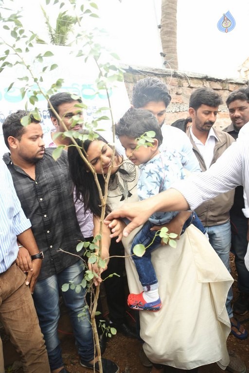 Celebrities Participates in Haritha Haram Program - 75 / 100 photos
