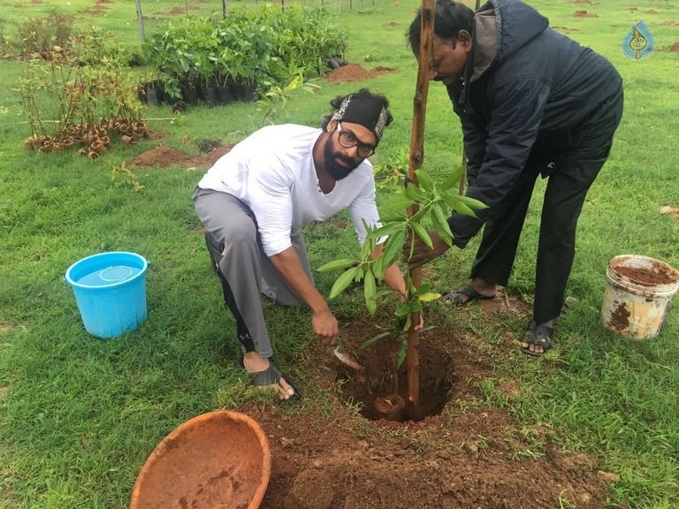 Celebrities Participates in Haritha Haram Program - 99 / 100 photos
