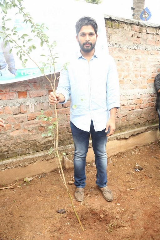 Celebrities Participates in Haritha Haram Program - 100 / 100 photos