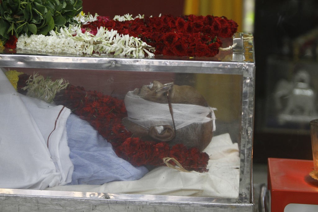 Celebrities Pay Tributes to Bapu - 80 / 102 photos