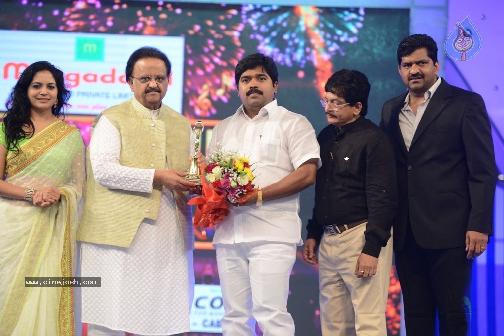 Celebs at Gama Awards 2013 - 83 / 321 photos