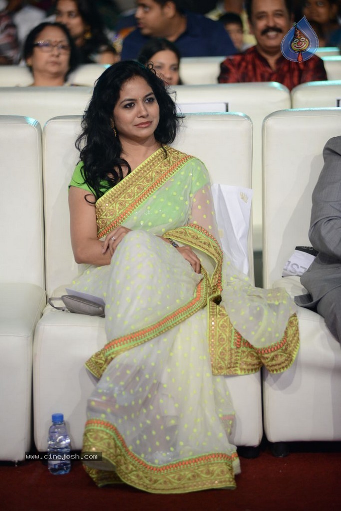 Celebs at Gama Awards 2013 - 170 / 321 photos