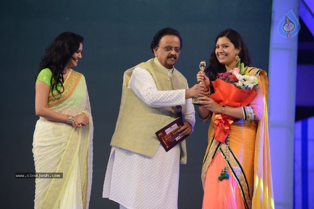 Celebs at Gama Awards 2013 - 194 / 321 photos