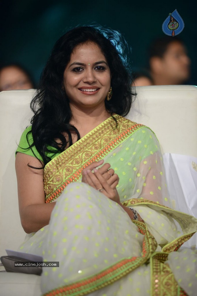Celebs at Gama Awards 2013 - 301 / 321 photos