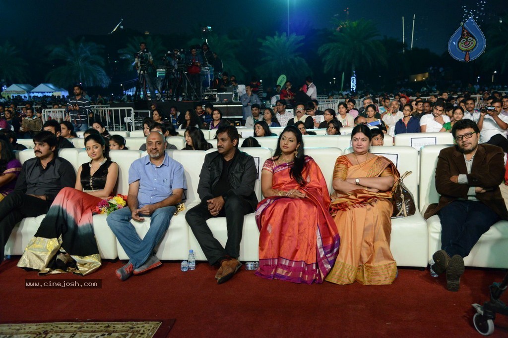 Celebs at Gama Awards 2013 - 317 / 321 photos