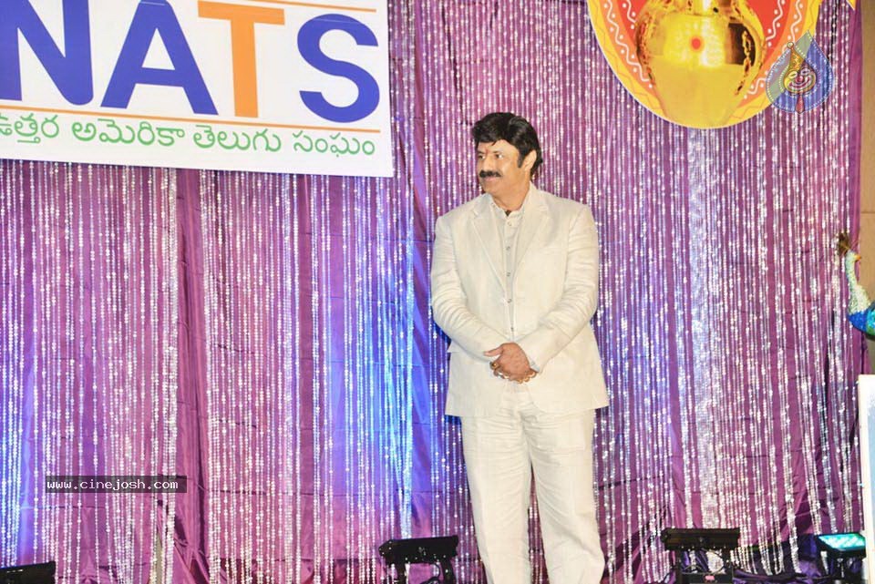 Celebs at NATS 2013 Telugu Sambaralu- Day 1 - 11 / 140 photos