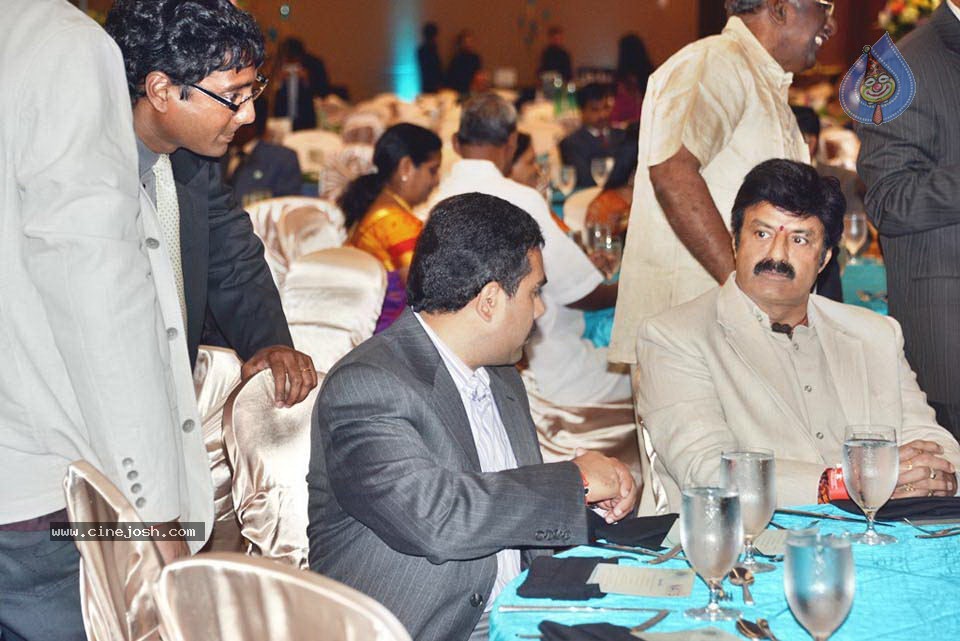 Celebs at NATS 2013 Telugu Sambaralu- Day 1 - 43 / 140 photos