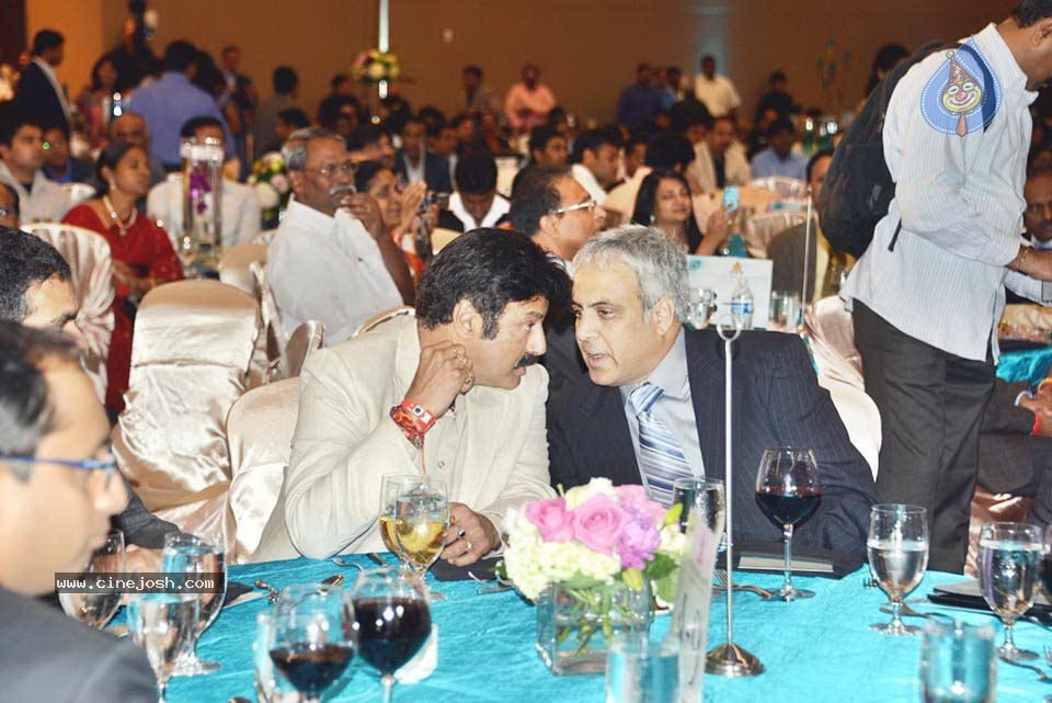 Celebs at NATS 2013 Telugu Sambaralu- Day 1 - 48 / 140 photos