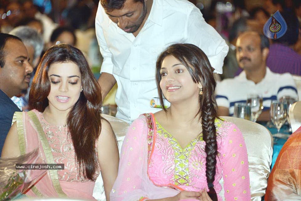Celebs at NATS 2013 Telugu Sambaralu- Day 1 - 51 / 140 photos