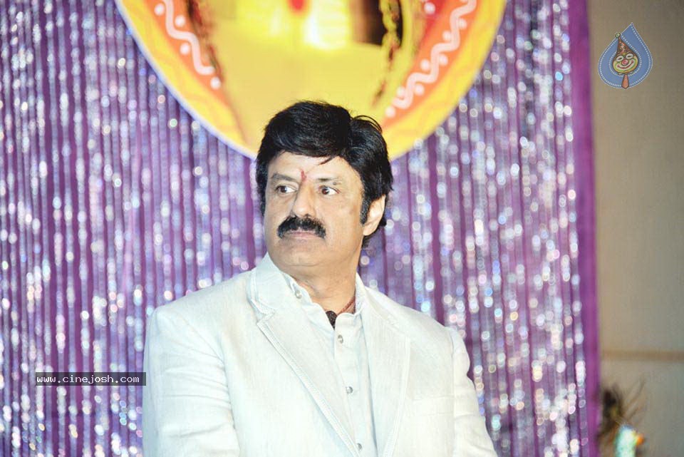 Celebs at NATS 2013 Telugu Sambaralu- Day 1 - 56 / 140 photos